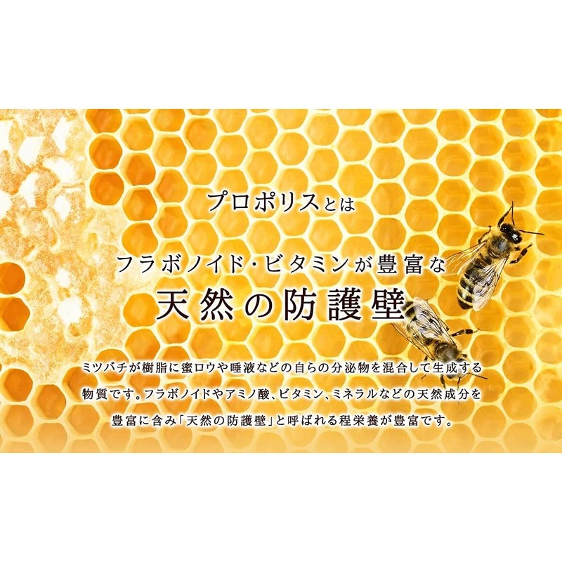 シードコムス プロポリス サプリメント グリーンプロポリス使用 (約6ヶ月分 180粒)