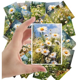 Large Stickers Pack 24 pcs ~ Serene Daisies Dance: an Artistic Journey Through Fields of White Petals and Green Foliage in Oil, Perfect for a Tranquil Stickers Collection