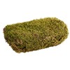 MaMeMi MOOS Bag Crib Moss / Decorative Moss for Crafts