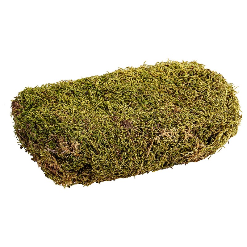 MaMeMi MOOS Bag Crib Moss / Decorative Moss for Crafts