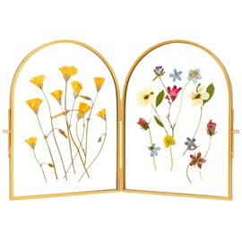 REDHUGO Double Glass Frame for Pressed Flowers Handmade, Pressed Flower Frame, Hinged Tabletop Brass Photo Frames, Dried Flower Display Folding Picture Frame for Home, ArcShaped, Gold, 6×8 Inches