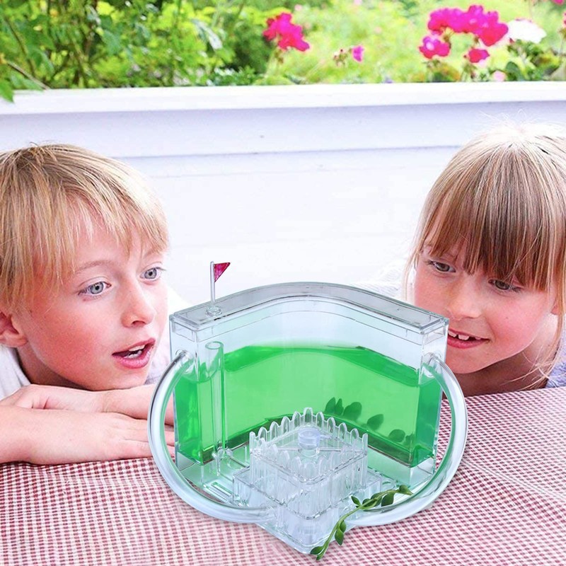 Sand Ant Farm - Habitat Educational & Learning Science Kit