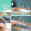 Kitchen Faucets, Kitchen Faucet with Sprayer, Brushed Nickel Kitchen Sink
