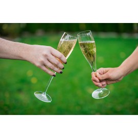 Luigi Bormioli Styles 6 oz Sparkling Wine Glasses (Set Of 2), Clear