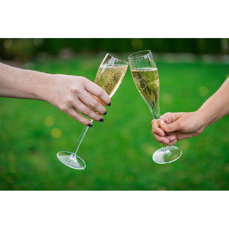 Luigi Bormioli Styles 6 oz Sparkling Wine Glasses (Set Of