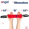 Freedom Dog Tug Toy |2- Handle | Tough & Durable