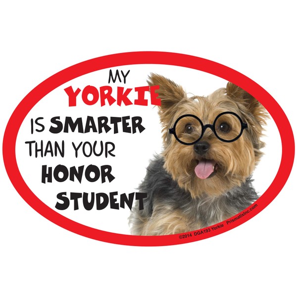 Yorkie Car Magnets: My Yorkie is Smarter Than Your Honor