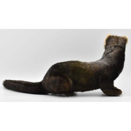 BH7827 HANSA European Kenagatachi 41