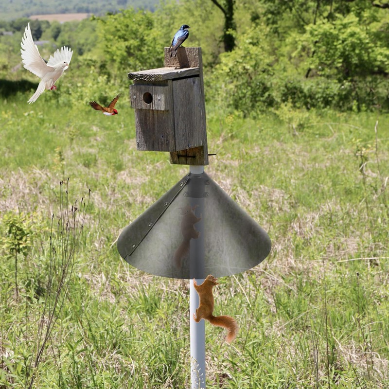 2 Pack Squirrel Baffle Accessory for Bird Feeder Pole and