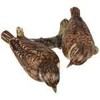 Goebel Bird of the Year 2023 Pair of Brownthroat Figurine