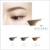FASIO Powder Tint Eyebrow Light Brown 0.6 g 1 pc(s)