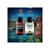 Windboss Mens Health Combo Apoyo Salud Mascul