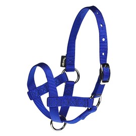 Weaver Leather unisex adult Livestock Halter Nylon ALPACA 5 8IN LG BL, Blue, Large Pack of 1 US