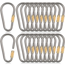 Skylety 20 Pieces Mini Titanium Locking Clips D-Ring Locking Snap Keychain Keyring Screw Lock Buckle for Outdoor Indoor Dog Tags Use, Lightweight and Sturdy