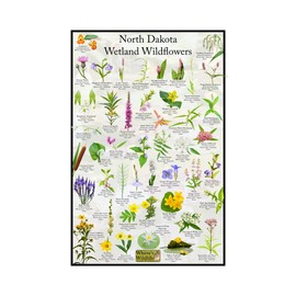 North Dakota Wetland Wildflowers Flower Identification Poster | Educational Floral Science Chart (8" x 12")