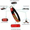 LED Dog Collar, 15 Light Modes, USB-C Rechargeable, Glow Light