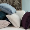 MIULEE Pack of 2 Velvet Soft Decorative Square Throw Pillow