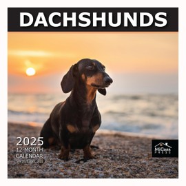 MICASA Dachshunds 2025 Wall Calendar 12 Month | 12" x 24" Open | Thick & Sturdy Paper | Giftable | Calendar 2025