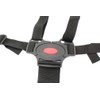 Olive-G Chair Belt, Fall Prevention, 5-Point Type, Shoulder Pad Included