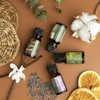 Hearth & Harbor Organic Soy Candle Making Kit for Adults,
