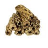 Aquatic Foods Inc. 6" Cholla Wood for Freshwater Shrimp, Crabs,