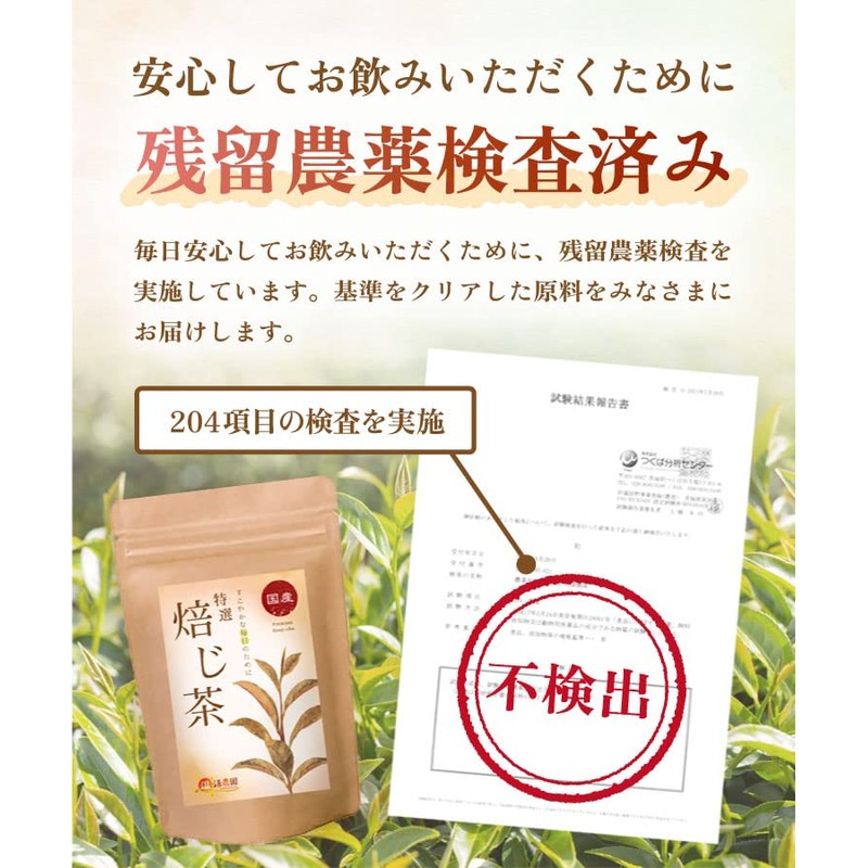 Warm Farm Japanese Special Roasted Tea Bags 0.1 oz (3