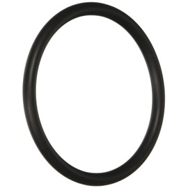 Hayward SX220Z2 Large O-ring Replacement for Hayward Pump and Filter