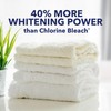 OxiClean OxiClean White Revive Laundry Whitener and Stain Remover Power