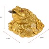 BWINKA Feng Shui Money Lucky Frog Coin Toad/Chan Chu Chinese