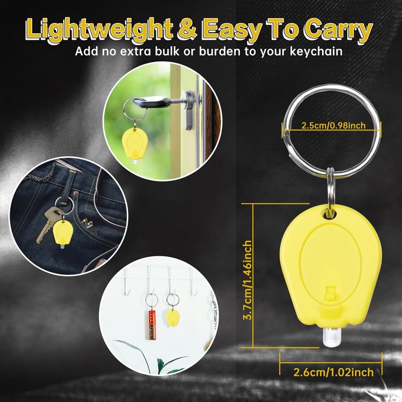 RaySoar 10 Pack Ultra Bright Mini LED Keychain Flashlight, Small