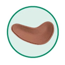 Garment Accessory, Pressure Pads, Malleolis, Unattached, Right