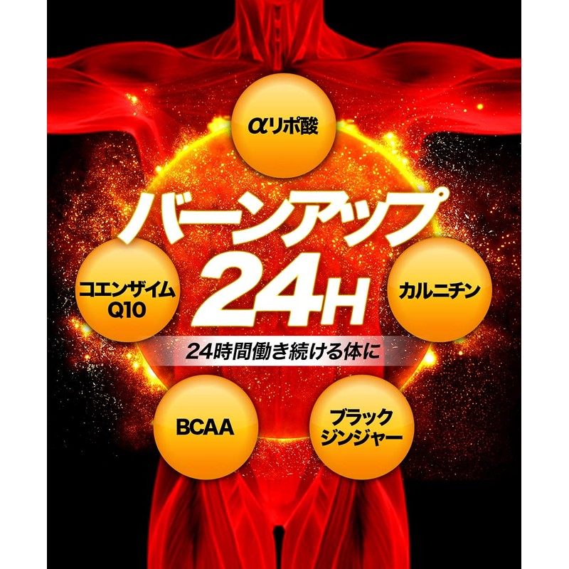 【FIRE BURST】 L-Carnitine BCAA Supplement Tablets, Carefully-Selected Ingredients, 30-Day Supply