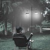 Lantern Stand, Lantern Pole, Double Hook, Foldable, Aluminum, Camping Light