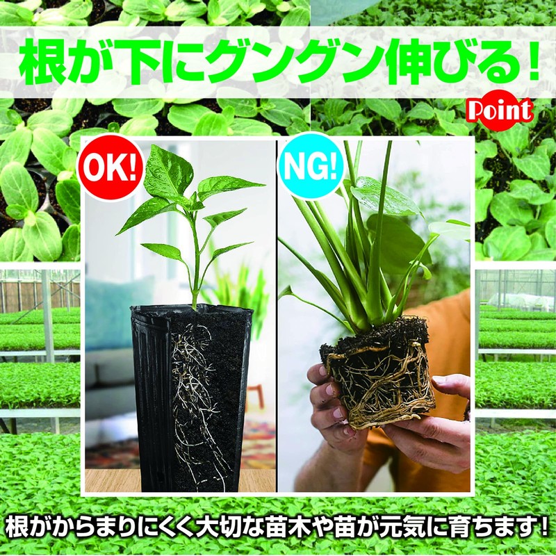 ZERONOWA Seedling Pot, Deep Type, Long Pot, Vinyl Pot, Seedling