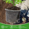 PEFECOP 5 Gallon Root Guard Basket, 6 PCS Mesh Stainless