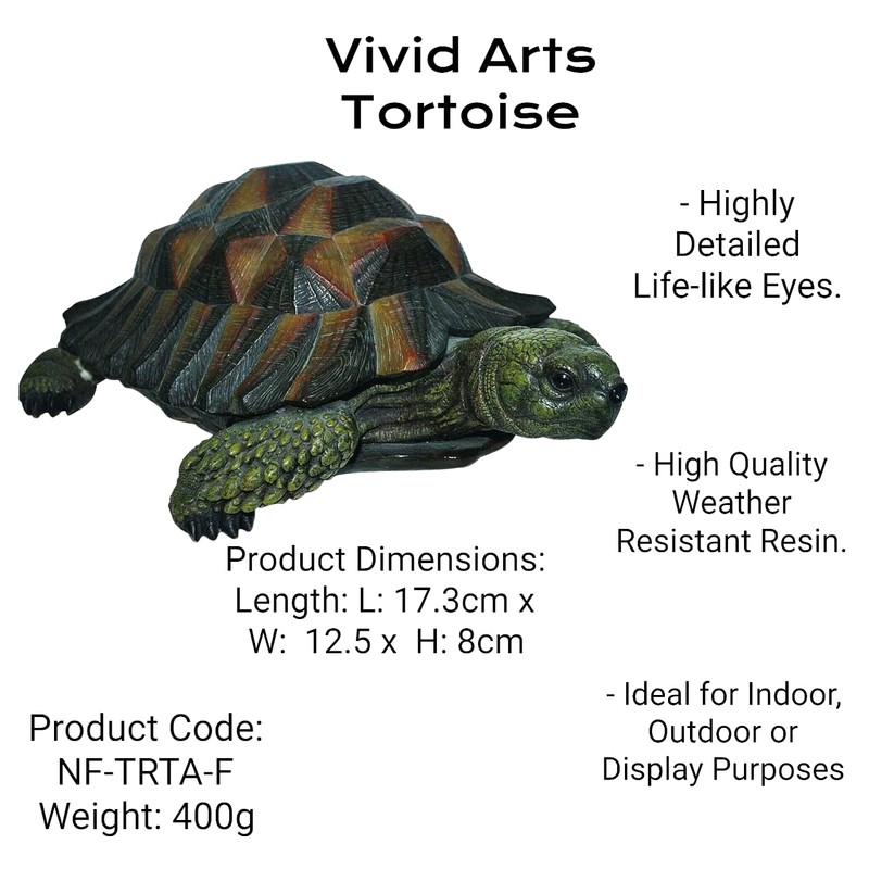 Props4shows Vivid Arts Tortoise - 17cm
