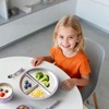 Bakpoco Stainless Steel Suction Plates for Toddlers, 9" Divided Kids