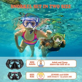 WACOOL Professional Snorkeling Snorkel Diving Scuba Package Set with Anti Fog Co
