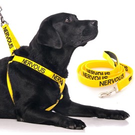 NERVOUS (Give Me Space) Yellow Colour Coded Non-Pull Dog Harness and 60cm 1.2m 1.8m Luxury Neoprene Padded Handle Lead Sets PREVENTS Accidents By Warning Others Of Your Dog In Advance (Harness & 1.2m)