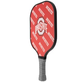 Parrot Paddle Carbon Fiber Pickleball Paddle with Honeycomb Core