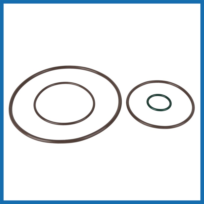 A ABSOPRO 06D145100 Tandem Vuoto Pompa Ricostruzione Kit Giunti Toroidali