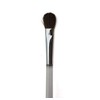 Giussani Rapid Eyeshadow Brush P305 and Cosmetics - 100 g