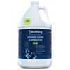 Eco Strong Pet Stain and Odor Remover - Cat Urine
