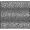 Art Deli Absolu La Volume de Cushion Refill 13g, No.