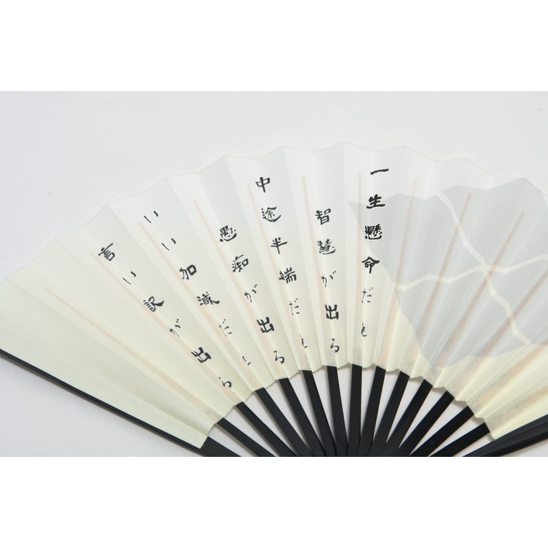 Hasegawa Men's Folding Fan, Kyoto Craftsman, Tailored, Fan Bag Included,