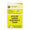 Yellow Sticky Aphid and Whitefly Traps - Pack of 15
