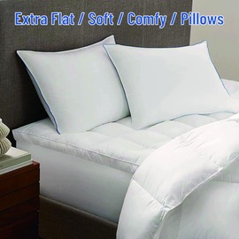 SILUI Extra Flat Soft Thin Pillows Queen Size Set of 2 Pack Bed Pillow with Down Alternative Fill for Side Back Stomach Sleepers, 20x30 Inches, White
