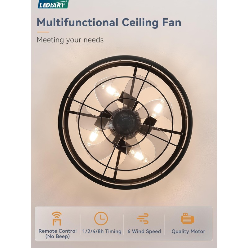LEDIARY 18 inch Black Caged Ceiling Fan with Light, Bladeless