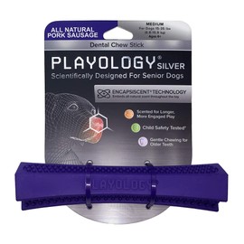 Playology Silver Dental Chew Stick Dog Toy, Medium - Designed for Senior Dogs (15 - 35lbs) - Engaging All-Natural Pork Sausage Scented Toy - Non-Toxic Materials and Gentle Chewing for Older Teeth