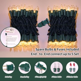 LAMPHOME Super-Bright Extendable Warm White Christmas Lights Decoration 100Lights 19.6ft UL Certified Mini Bulb String Lights Set for Outdoor Christmas Tree Garden Holiday Party Patio Wedding Decor